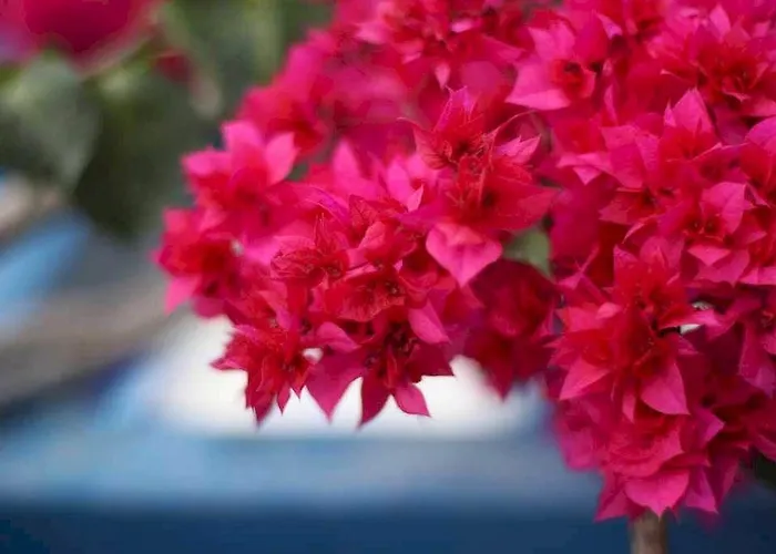 Santellini Hotel Kamari (Santorini)